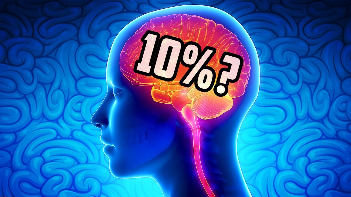 Do you think we only use 10% of our Brain??